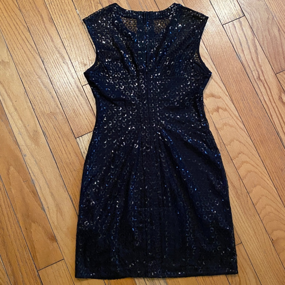 Express Sparkle Dress